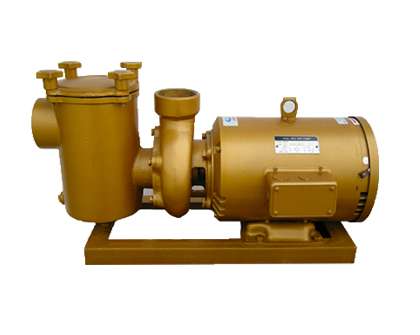 BP系列泳池循環銅泵